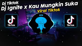 DJ IGNITE x KAU MUNGKIN SUKA VIRAL TIK TOK TERBARU 2024 [upl. by Avat]