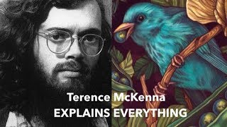 Terence McKenna Explains Everything [upl. by Teresina]