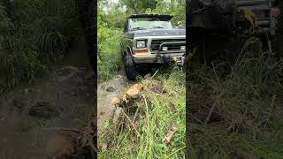 Ford Bronco Stuck on Stump [upl. by Namhcan]