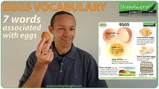 EGG vocabulary  7 words associated with eggs [upl. by Shantee]