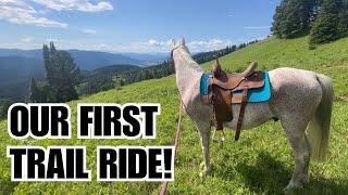 Arabian HORSE 🏔️ Trail riding in MONTANA POV [upl. by Rento]