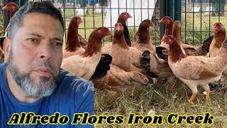 Pittsburg Texas Alfredo Flores Farm IRON CREEK [upl. by Hemminger]