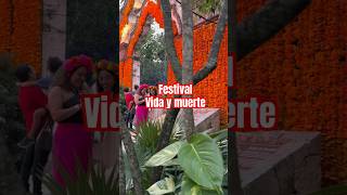 xcaret foryou Celebración en Playa del Carmen travel mexico art show [upl. by Ayifa434]