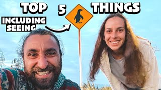 TIMARU  top 5 things to do 🐧 [upl. by Anceline]