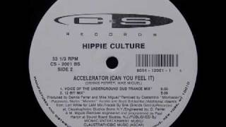 Hippie Culture  Accelerator Can You Feel It 12 Bit Mix [upl. by Erika]