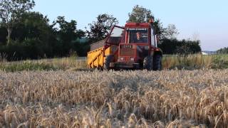 Moisson 2015 Same Léopard 85 et Benne Decroix qui rentre au champ [upl. by Aida]