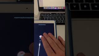 How to Connect iPad to iTunes [upl. by Annazor]