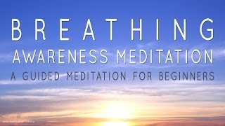 Breath Awareness  Guided Meditation for Beginners  Reduce Stress Calm Mind [upl. by Devaj]