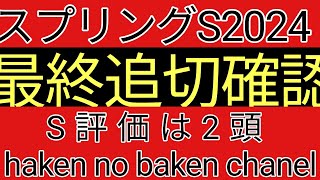 スプリングステークス2024 最終追切確認 S評価は2頭 [upl. by Tsirc]