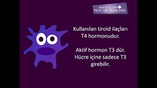 Nedir bu T3 hormonu [upl. by Suiravad]