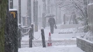 「朝起きたら真っ白」新潟市でも積雪…２２日にかけ５０ｃｍの降雪予想 交通障害に注意・警戒を 231221 1200 [upl. by Ahsinid]