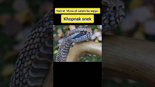 Hazrat Musa ali salam ka wqiya shortsfeed facts shrots snek islam viralvideo ytshorts [upl. by Tnairb80]