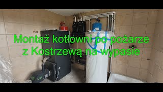 Kostrzewa na wypasie [upl. by Ynnod]