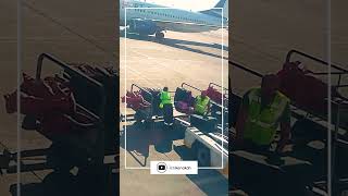 Bagaj Boşaltma │ Luggage Unload Part 01  Luggage aviation havacılık groundservice [upl. by Oiramed172]