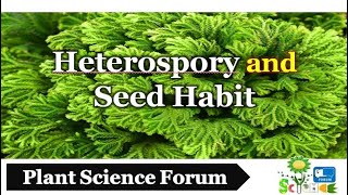 Heterospory and Seed Habit  Plant Science Forum [upl. by Betthezel]