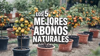 Los 5 MEJORES ABONOS orgánicos para tus plantas aplícalos hoy mismo [upl. by Brownson502]