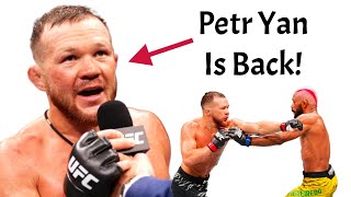 Petr Yan Just Solidified Himself As One Of The Bantamweight GOATS Yan vs Figueiredo UFC Recap [upl. by Cleasta]