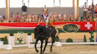 FEI European Vaulting Championships 2013  Senior Individual Male  Top 3 [upl. by Soutor]