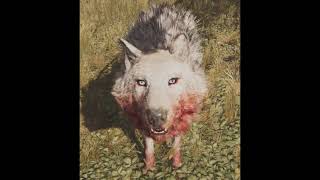 Snowblood Wolf Far cry primal Sounds [upl. by Vivi]