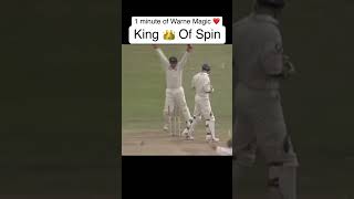 Best Shane Warne wickets against England babarazam shanewarne cricket warney wicket pakvsaus [upl. by Nylissej317]