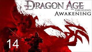 The Blackmarsh Undying  Dragon Age Origins  Awakening  Part 14 [upl. by Fabrin]