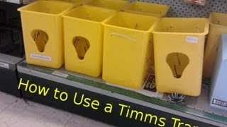 How to use a Timms Trap [upl. by Inacana]