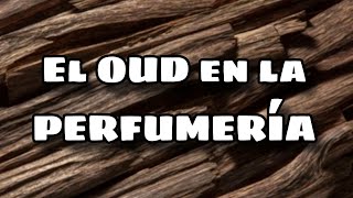 El OUD en la PERFUMERÍA [upl. by Asirem]