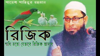 রিজিক নিয়ে শায়েখ শাহিনুর রহমান ইতিহাসের সেরা ওয়াজ । পাখিদের মত রিজিক পাবেন যেভাবে [upl. by Anitselec283]