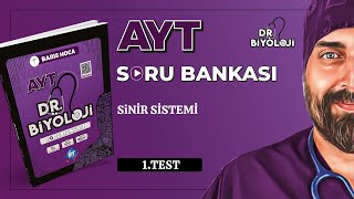 AYT Biyoloji Soru Bankası  Sinir Sistemi 1 Test  DrBiyoloji  2025tayfa [upl. by Fidellia]