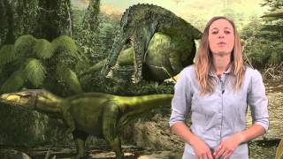 Dinosaur Myth Busted Cloning dinosaurs [upl. by Lehcyar]