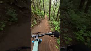 A classic MTB trail in the PNW [upl. by Eynttirb]