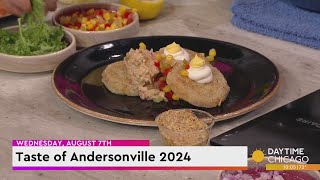 Taste of Andersonville 2024 [upl. by Shull]