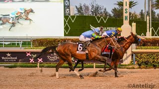 NATIONAL TREASURE se impone en la Pegasus World Cup [upl. by Inaffets]