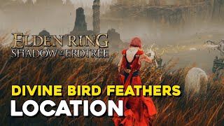 Elden Ring DLC Divine Bird Feather Incantation Location [upl. by Ardeha365]