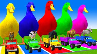 5 Giant Duck CartoonCowMammothDogTRexLionTiger Paint Wild Animals Crossing Fountain Animation [upl. by Inga907]