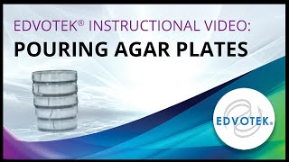 Pouring Agar Plates  Edvotek Video Tutorial [upl. by Rooker]