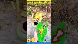 অদ্ভুত প্রাণীটাকে কিভাবে ধরলো🥱fishing tools item amp fishing idea shorts youtubeshorts [upl. by Ardnuasal]