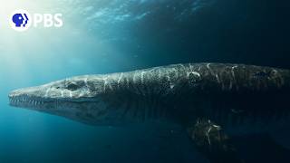 Discovering the Secrets of a Jurassic Sea Monster [upl. by Chandos568]