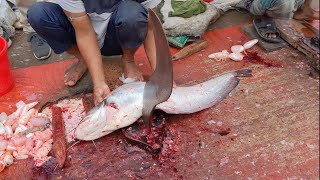 Giant Monster Wallago Attu Catfish Cutting In Bangladesh  Boal Fish Cutting Skills [upl. by Noevad]