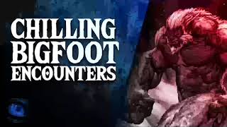 16 TRUE BIGFOOT SIGHTINGS COMPILATION  SASQUATCH ENCOUNTERS  What Lurks Above [upl. by Luehrmann884]