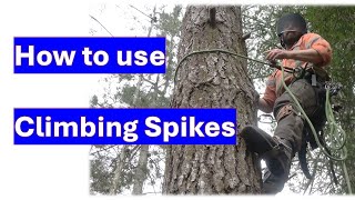 How to use Climbing Spikes or Gaffs or Spurs [upl. by Odrareve]