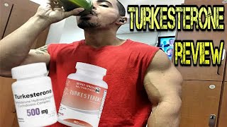 TURKESTERONE Review Before and After Results Turkesterone vs Ecdysterone [upl. by Anifled]