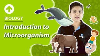 Introduction to Microorganism  Microorganism  Class 8 Biology [upl. by Oleta200]