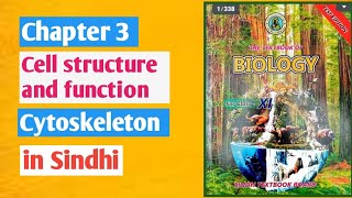 Cytoskeleton class 11 biology Cell structure and functionSindh board [upl. by Allit]