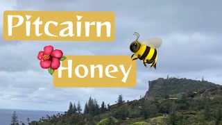 Pitcairn Island Pitcairn Honey 🐝 [upl. by Alcinia]