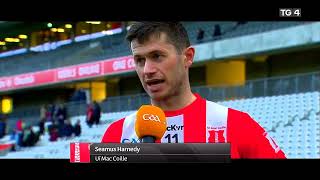 SEAMUS HARNEDY SPEAKS AFTER SARSFIELDS GLANMIRE V IMOKILLY 2024 CORK CLUB HURLING FINAL GAA [upl. by Aisirtap]