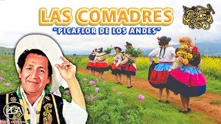 Picaflor de los Andes  LAS COMADRES [upl. by Map]