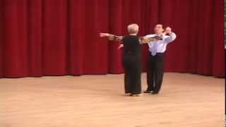 Gold Viennese Waltz  Introduction to Fleckerls Ballroom Dance Lesson [upl. by Noiek700]