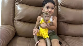 Baby Monkey Alpha feels happy to have a good and loving family [upl. by Fenella]