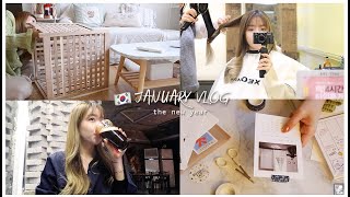 Hello 2020 🇰🇷 LIFE IN KOREA  DAILY VLOG  Erna Limdaugh [upl. by Alahs]